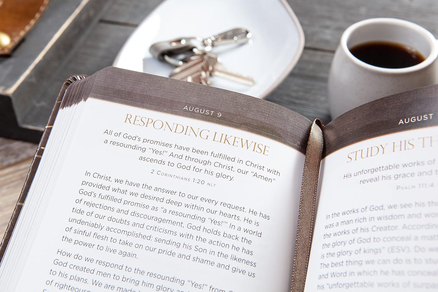 Men's Bible Study Bundle