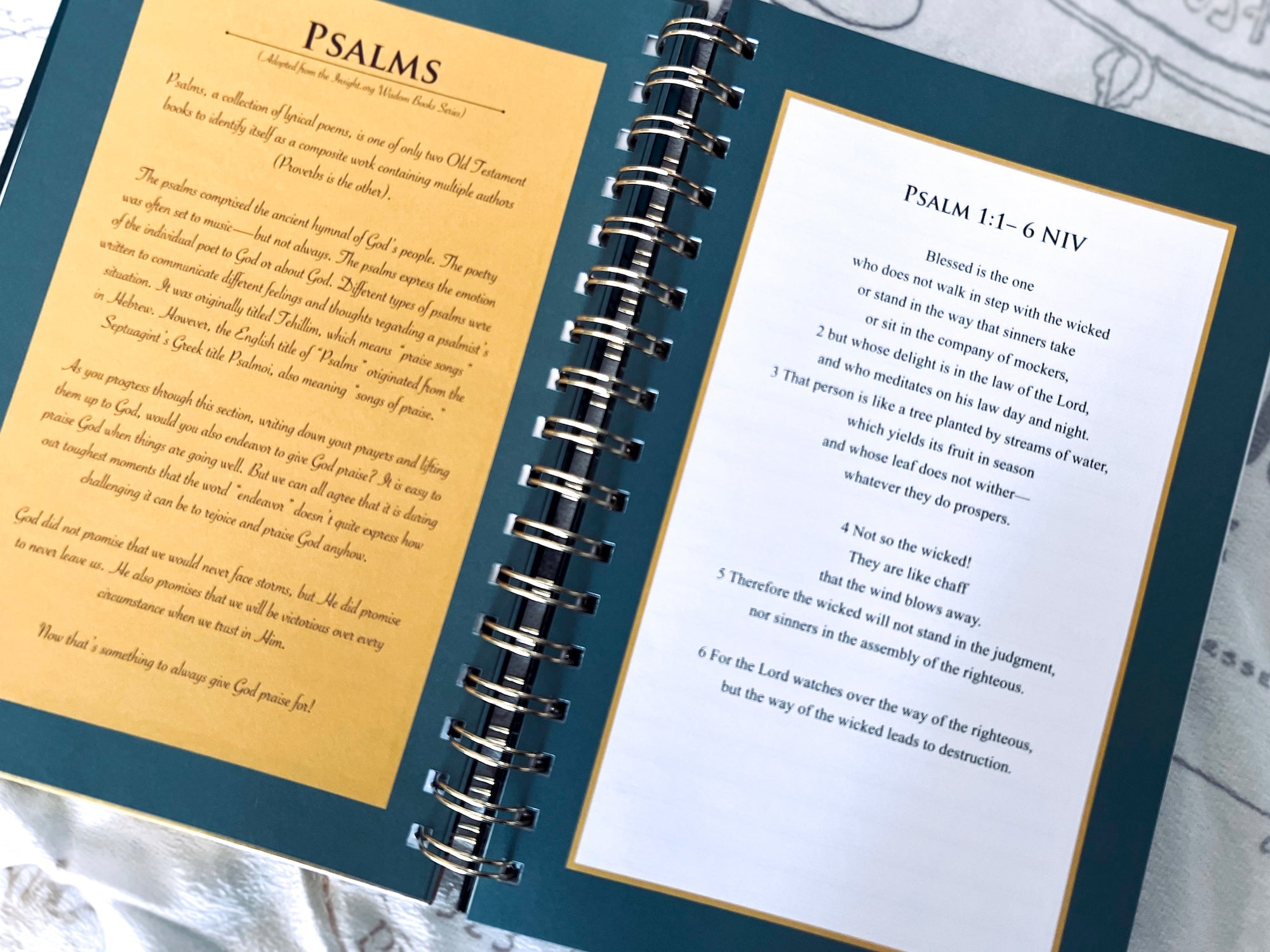 Affirm The Word Mega Bundle |Teal